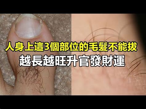 臉上長白毛是什麼意思|【臉上長白毛是什麼意思】臉上長白毛竟是好兆頭？揭開身體異象。